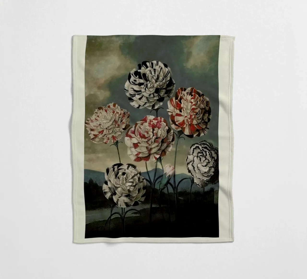 Thornton - A Group of Carnations coperta in pile da Vintage by JUNIQE