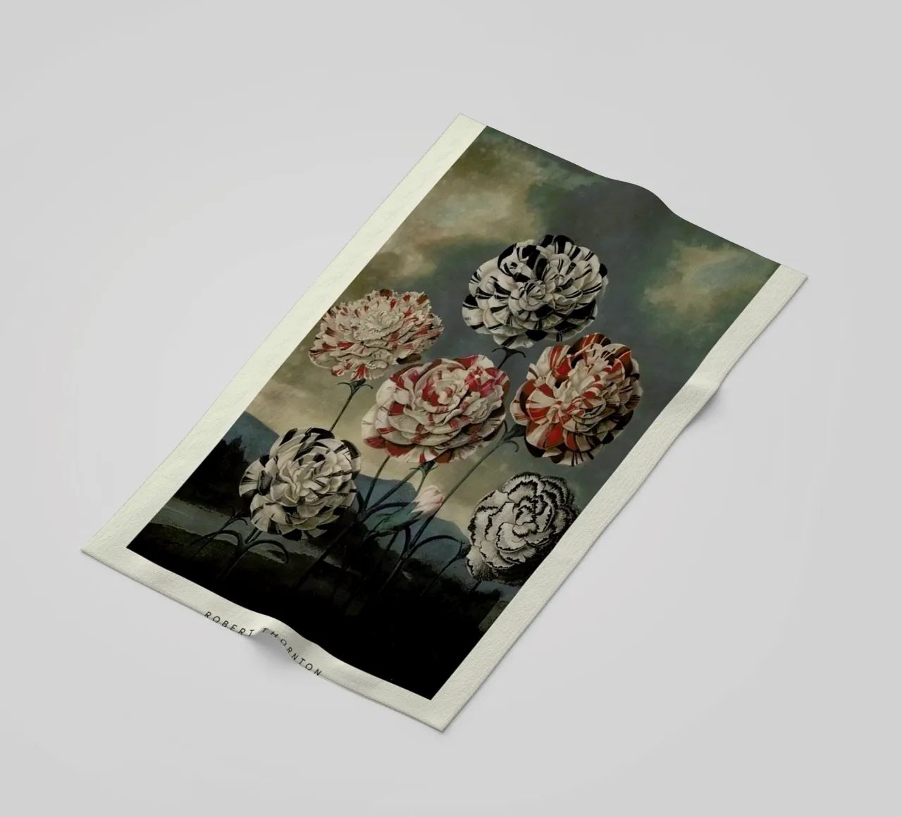 Thornton - A Group of Carnations telo mare da Vintage by JUNIQE