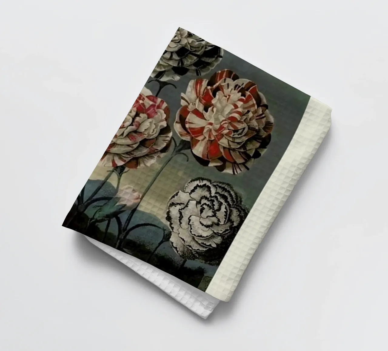 Thornton - A Group of Carnations canovaccio da cucina da Vintage by JUNIQE