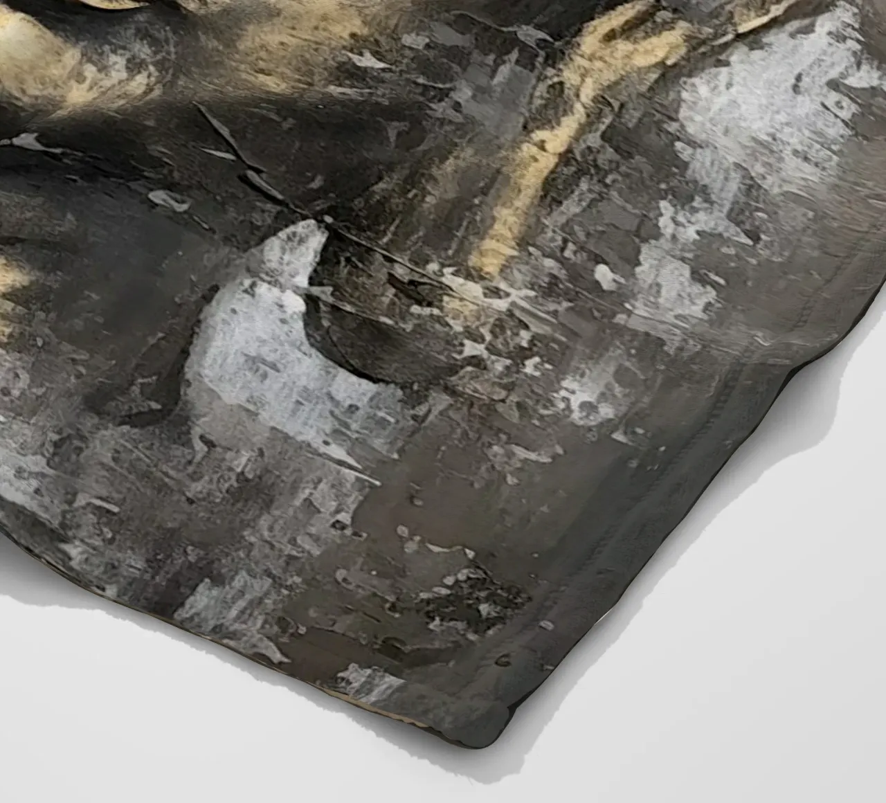 Buddha coperta in pile da Imagine
