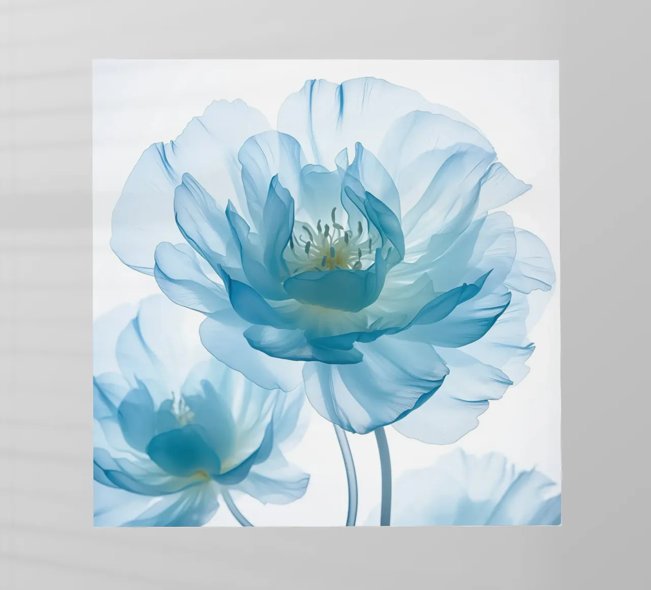 Fiore blu pellicola backlit da Imagine