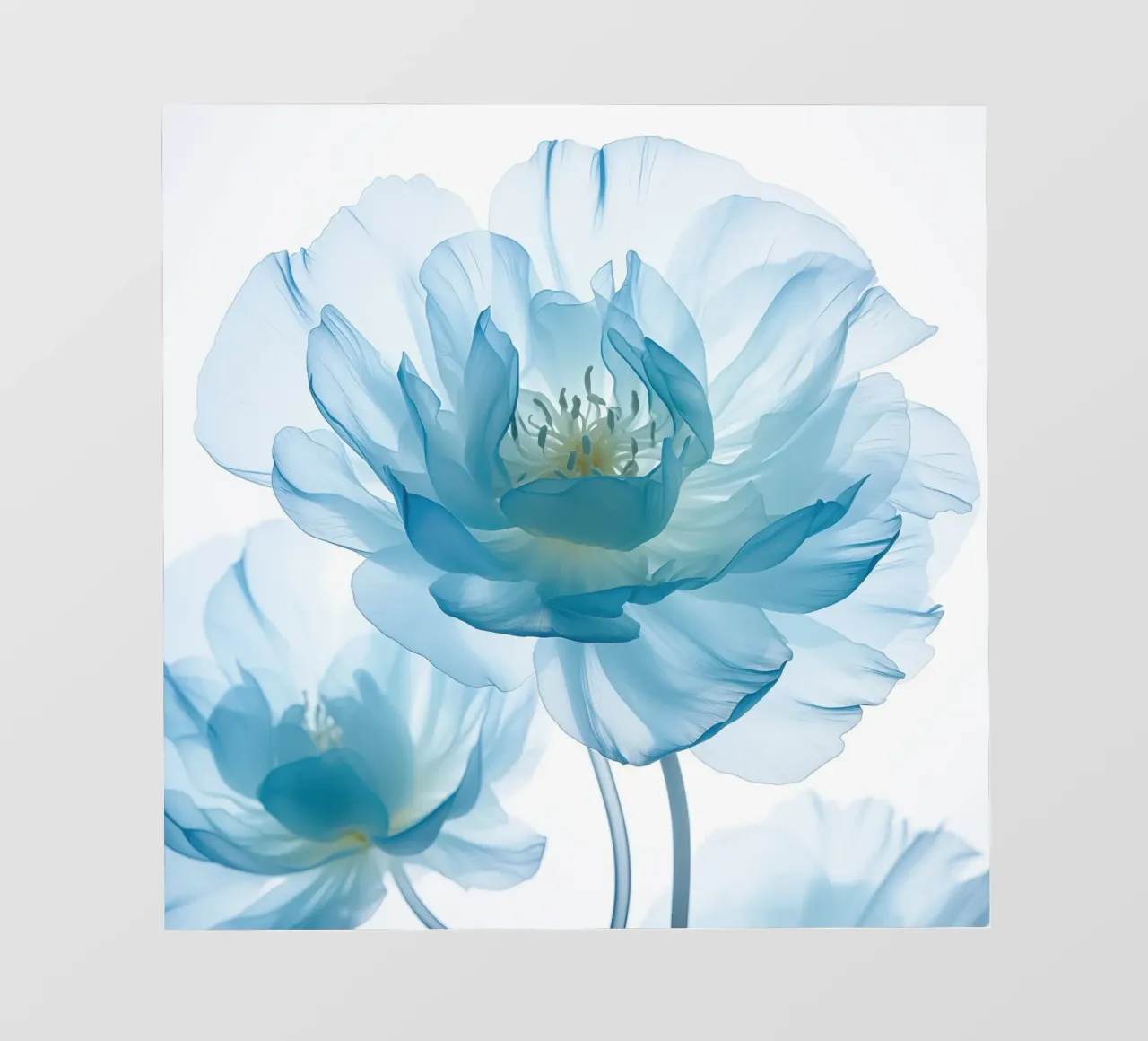 Fiore blu pellicola backlit da Imagine