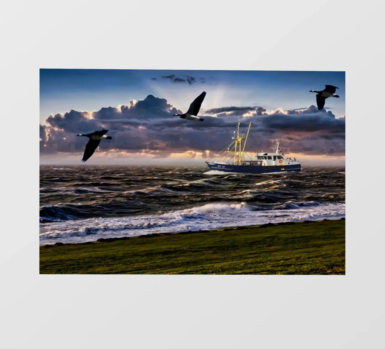 Sturm an der Nordsee pellicola backlit da kosinsart.gallery