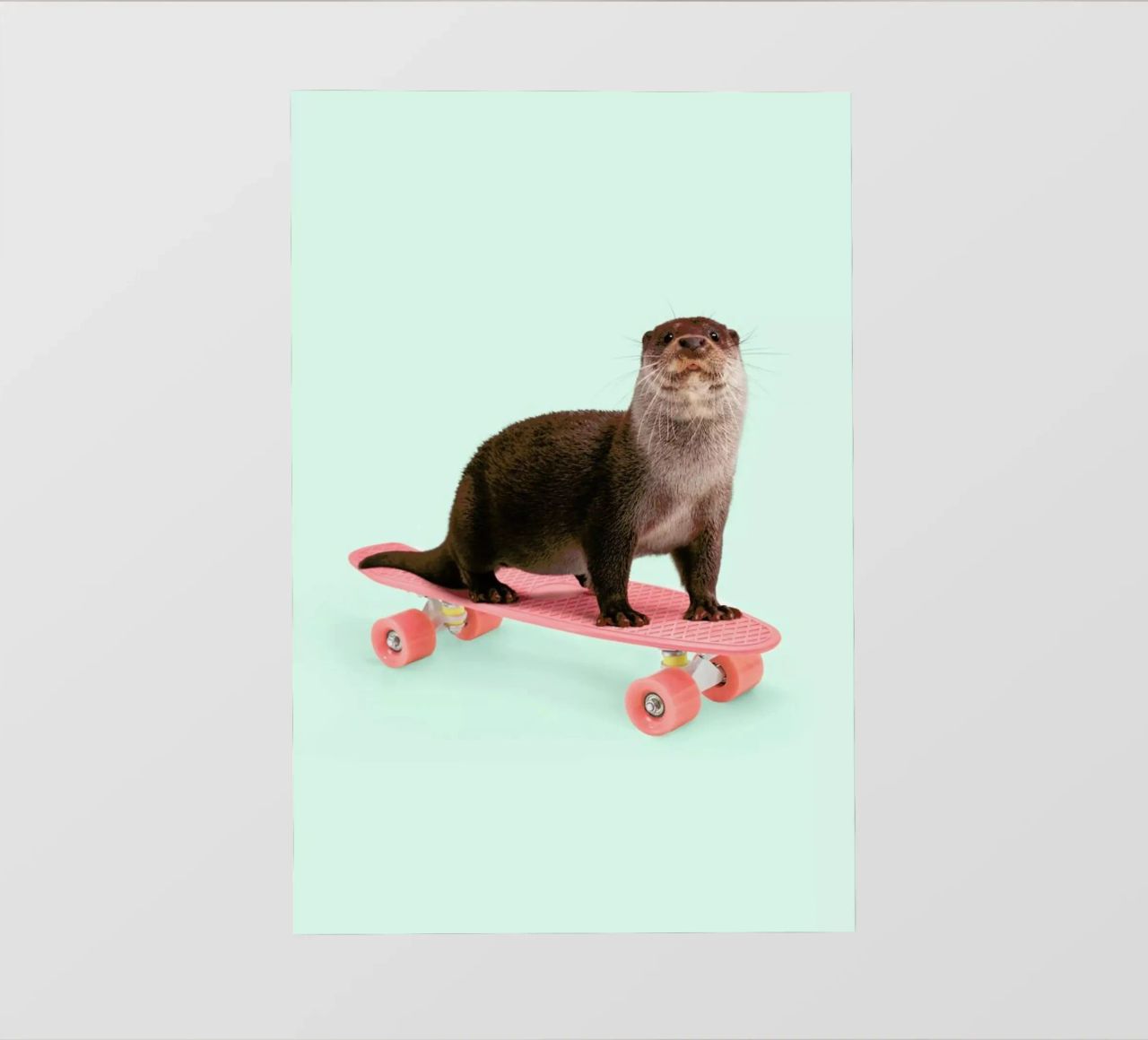 Skate Otter pellicola backlit da Paul Fuentes Design