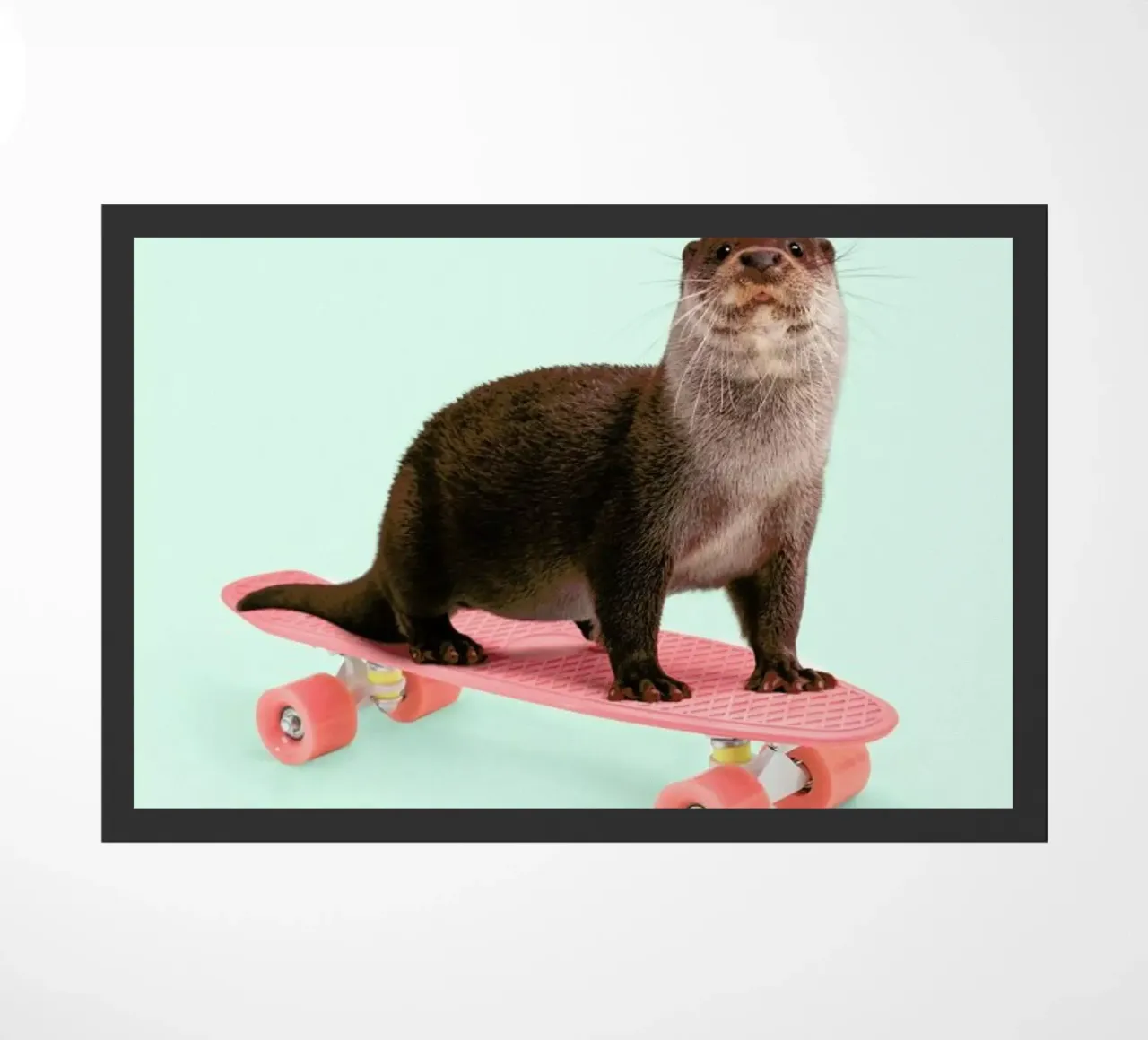 Skate Otter zerbino da Paul Fuentes Design