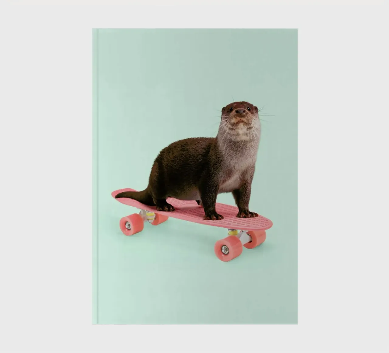 Skate Otter diario da Paul Fuentes Design