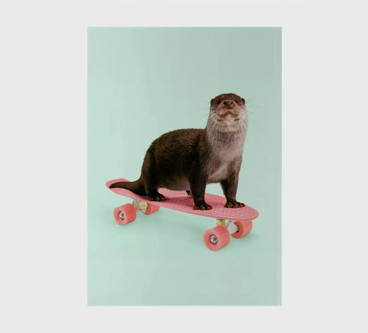 Skate Otter diario da Paul Fuentes Design