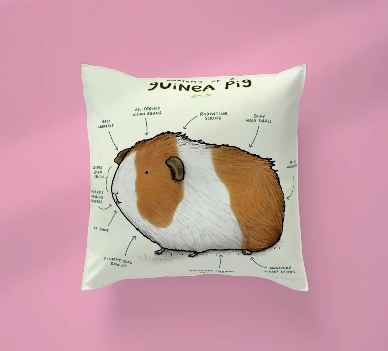 Anatomy Of A Guinea Pig cuscino da Sophie Corrigan