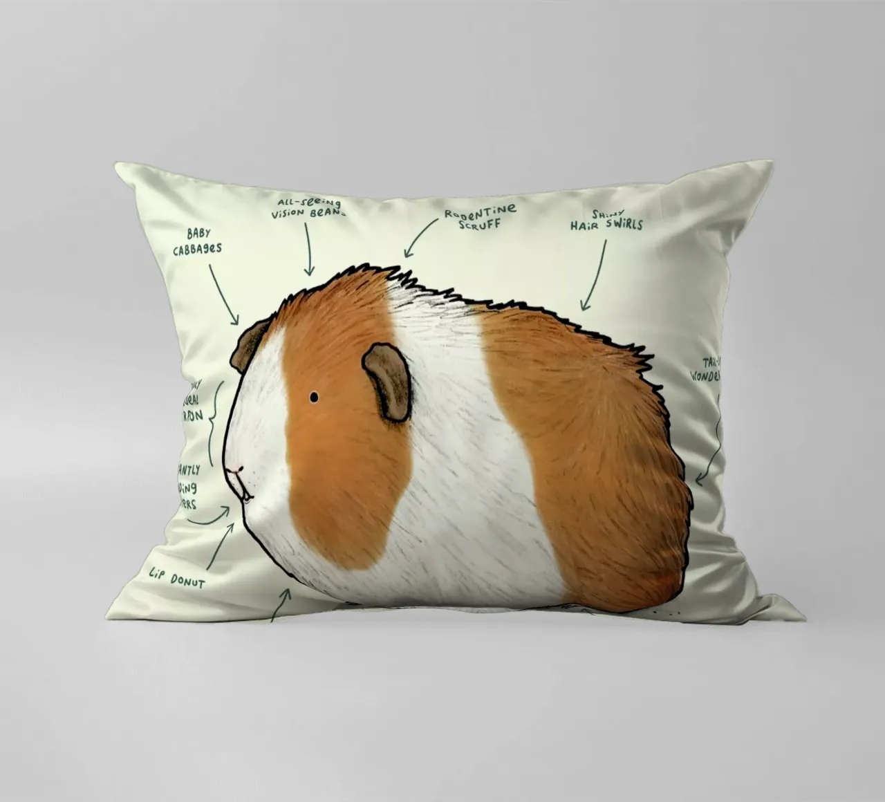 Anatomy Of A Guinea Pig cuscino da Sophie Corrigan