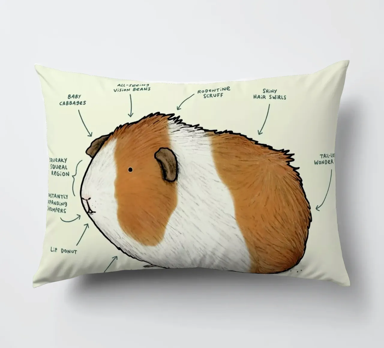 Anatomy Of A Guinea Pig cuscino da Sophie Corrigan