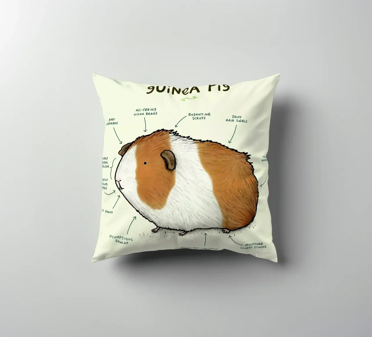 Anatomy Of A Guinea Pig cuscino da Sophie Corrigan