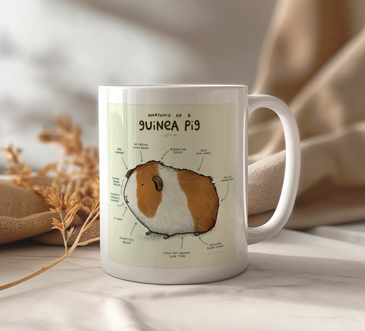 Anatomy Of A Guinea Pig tazza in ceramica da Sophie Corrigan