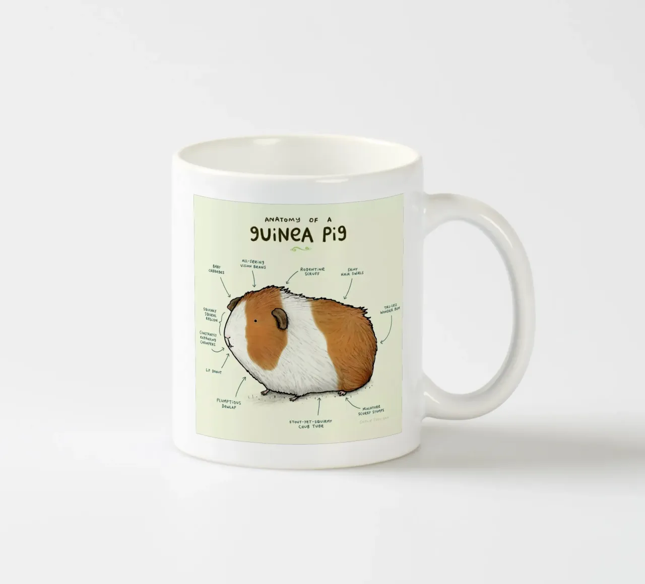 Anatomy Of A Guinea Pig tazza in ceramica da Sophie Corrigan