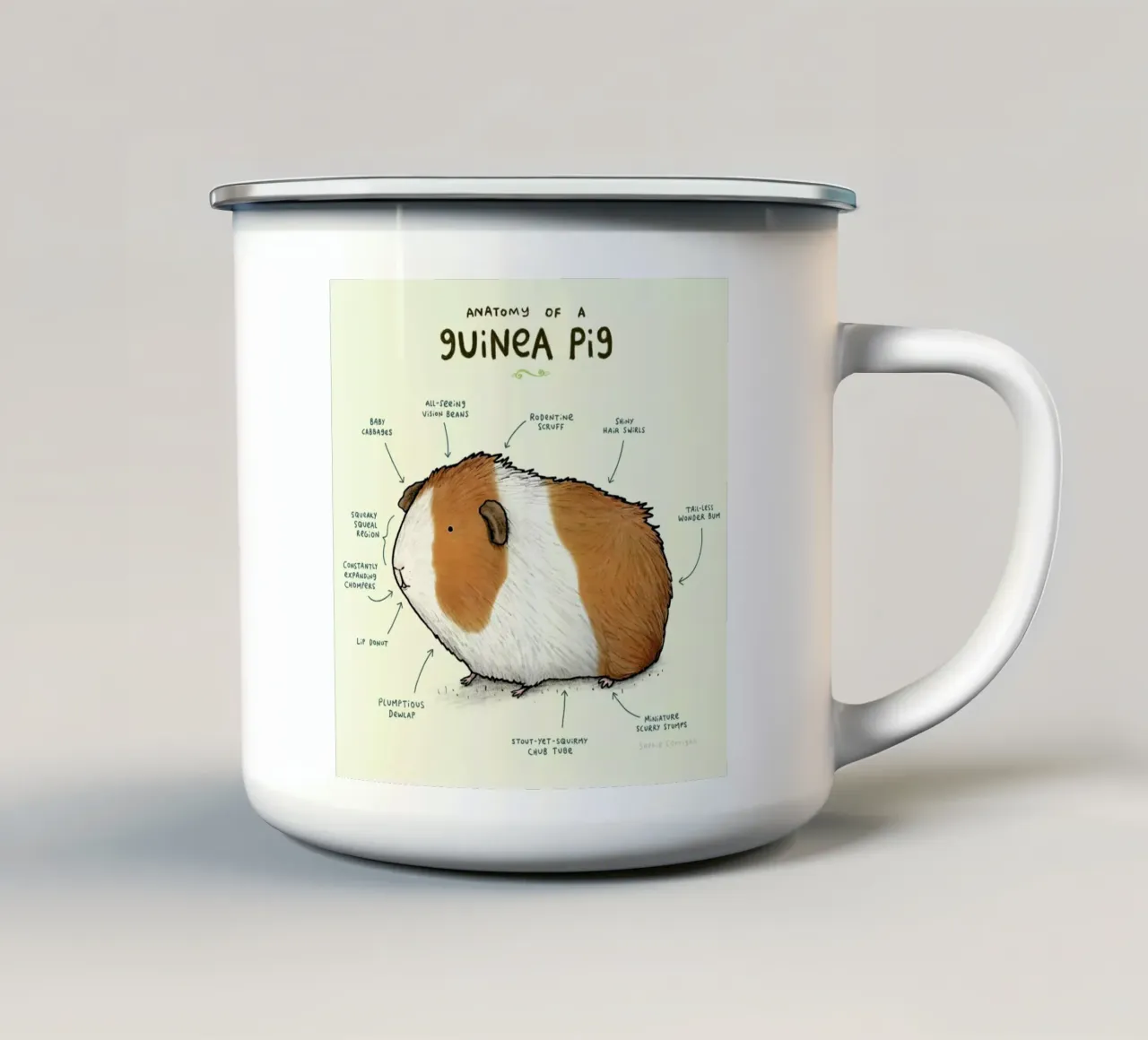Anatomy Of A Guinea Pig tazza in smalto da Sophie Corrigan