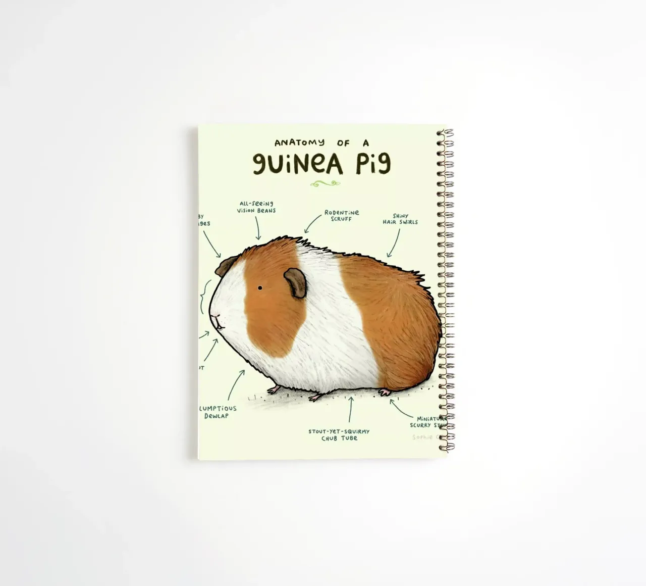 Anatomy Of A Guinea Pig spiral notebook by Sophie Corrigan