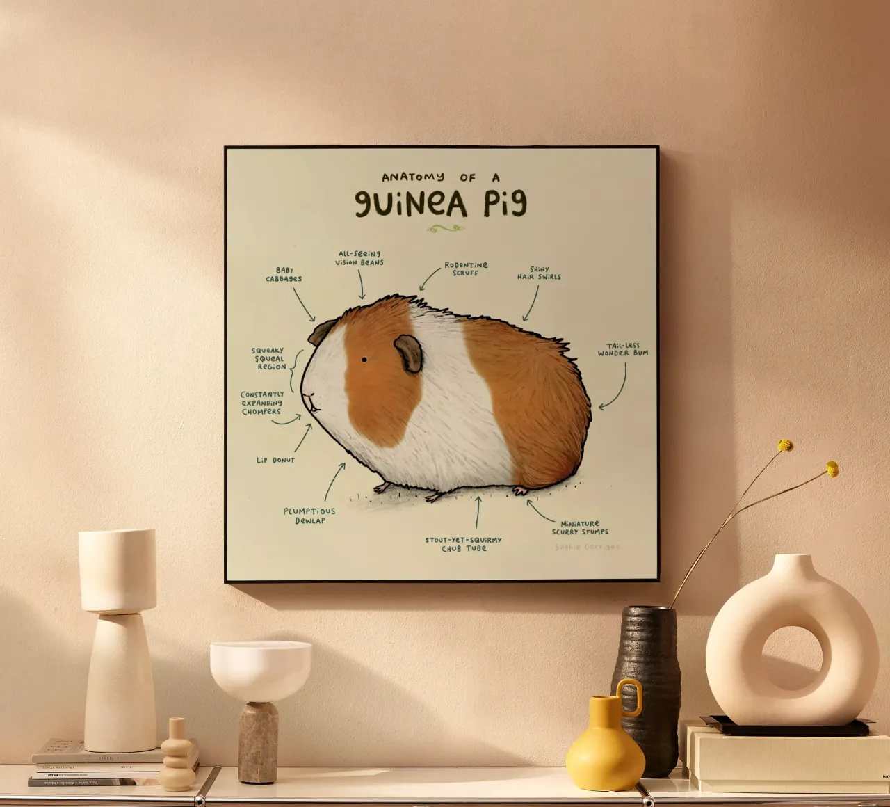 Anatomy Of A Guinea Pig plexiglass da Sophie Corrigan