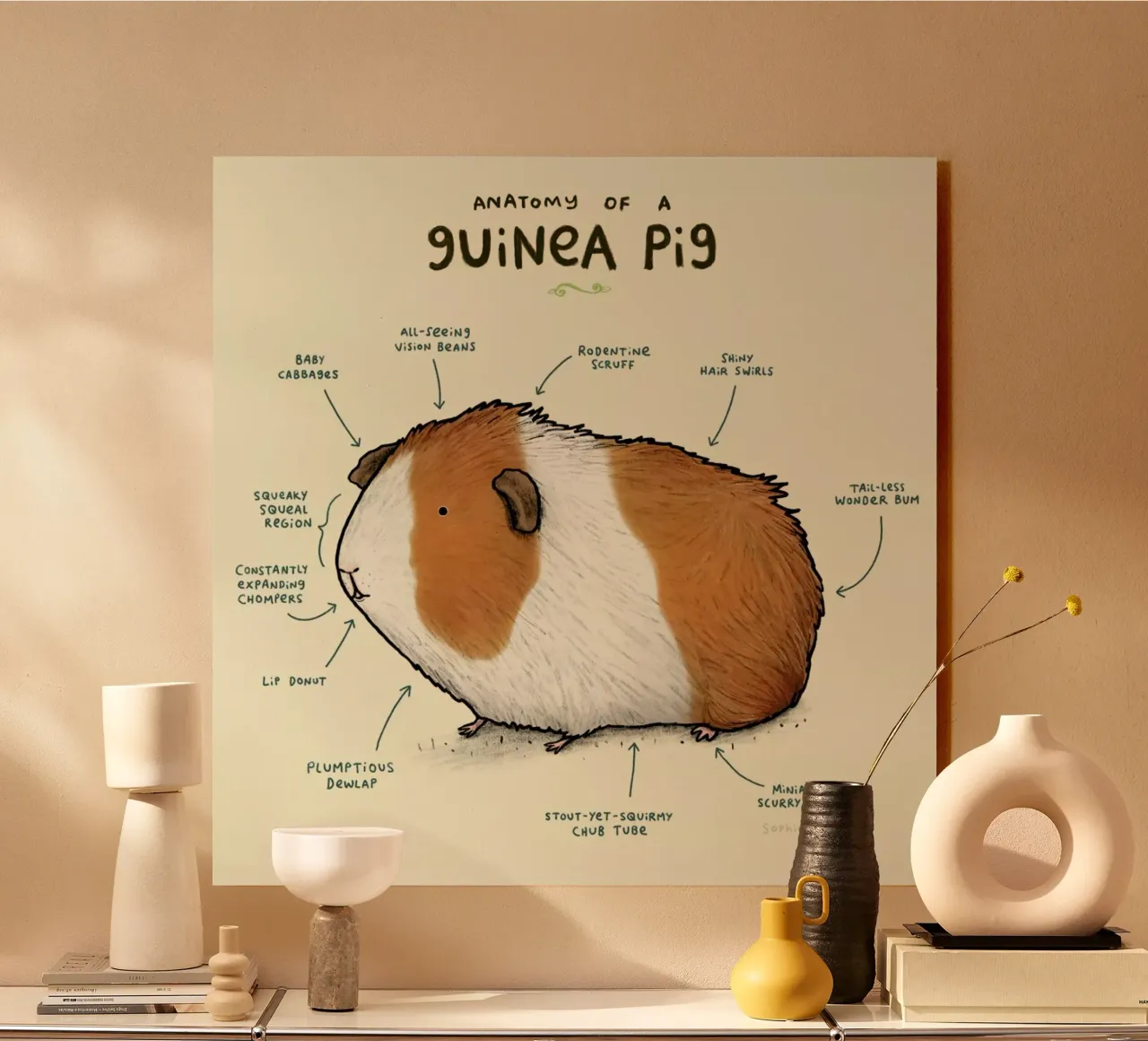 Anatomy Of A Guinea Pig alluminio dibond da Sophie Corrigan
