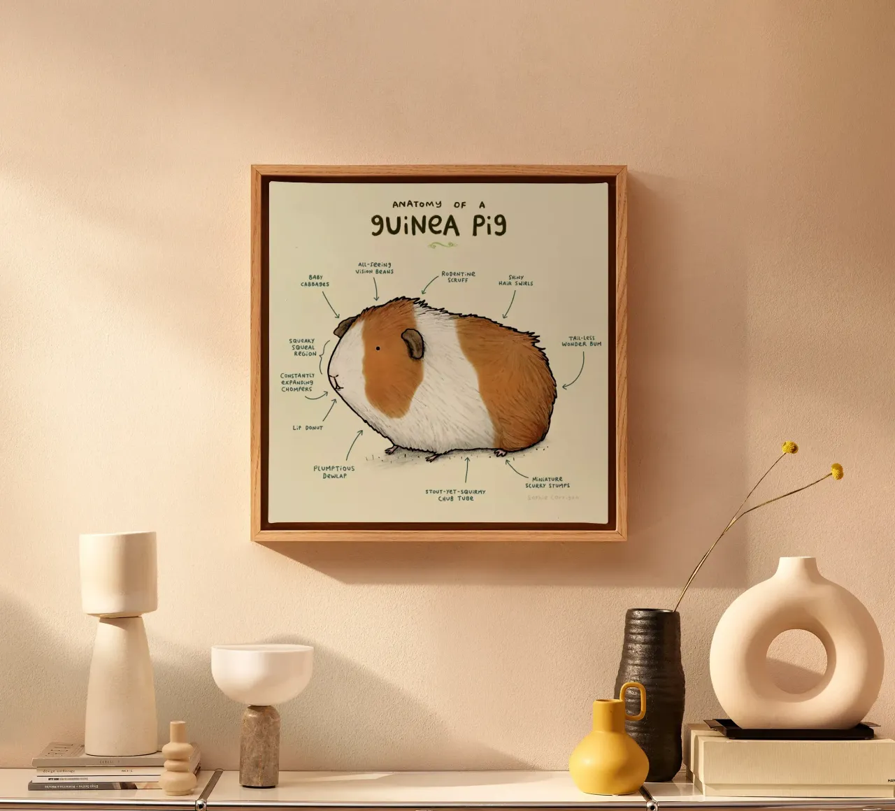 Anatomy Of A Guinea Pig canvas by Sophie Corrigan