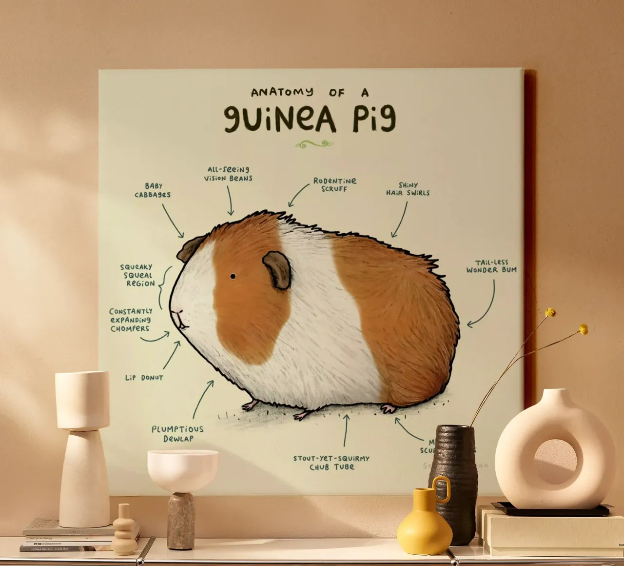 Anatomy Of A Guinea Pig canvas by Sophie Corrigan