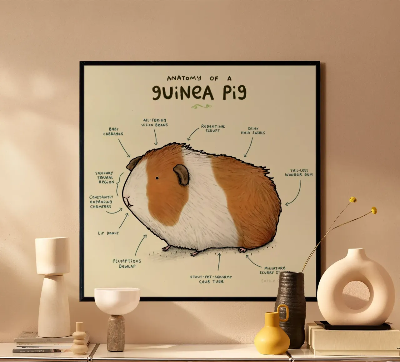Anatomy Of A Guinea Pig carta hahnemühle da Sophie Corrigan