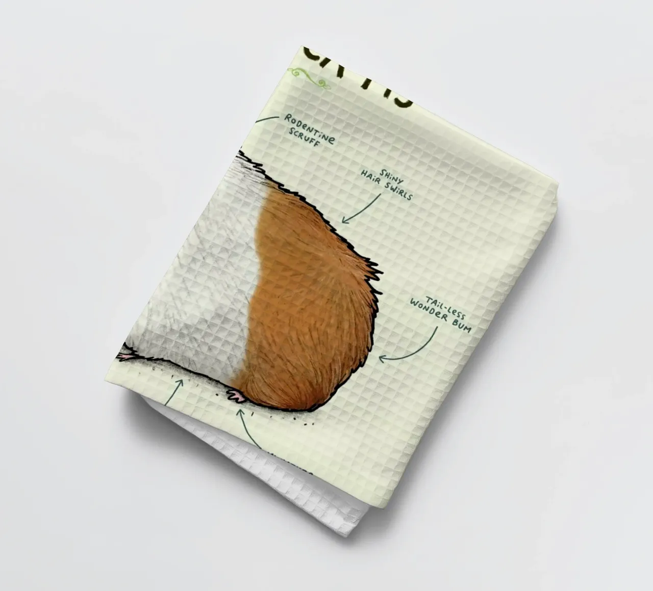 Anatomy Of A Guinea Pig canovaccio da cucina da Sophie Corrigan