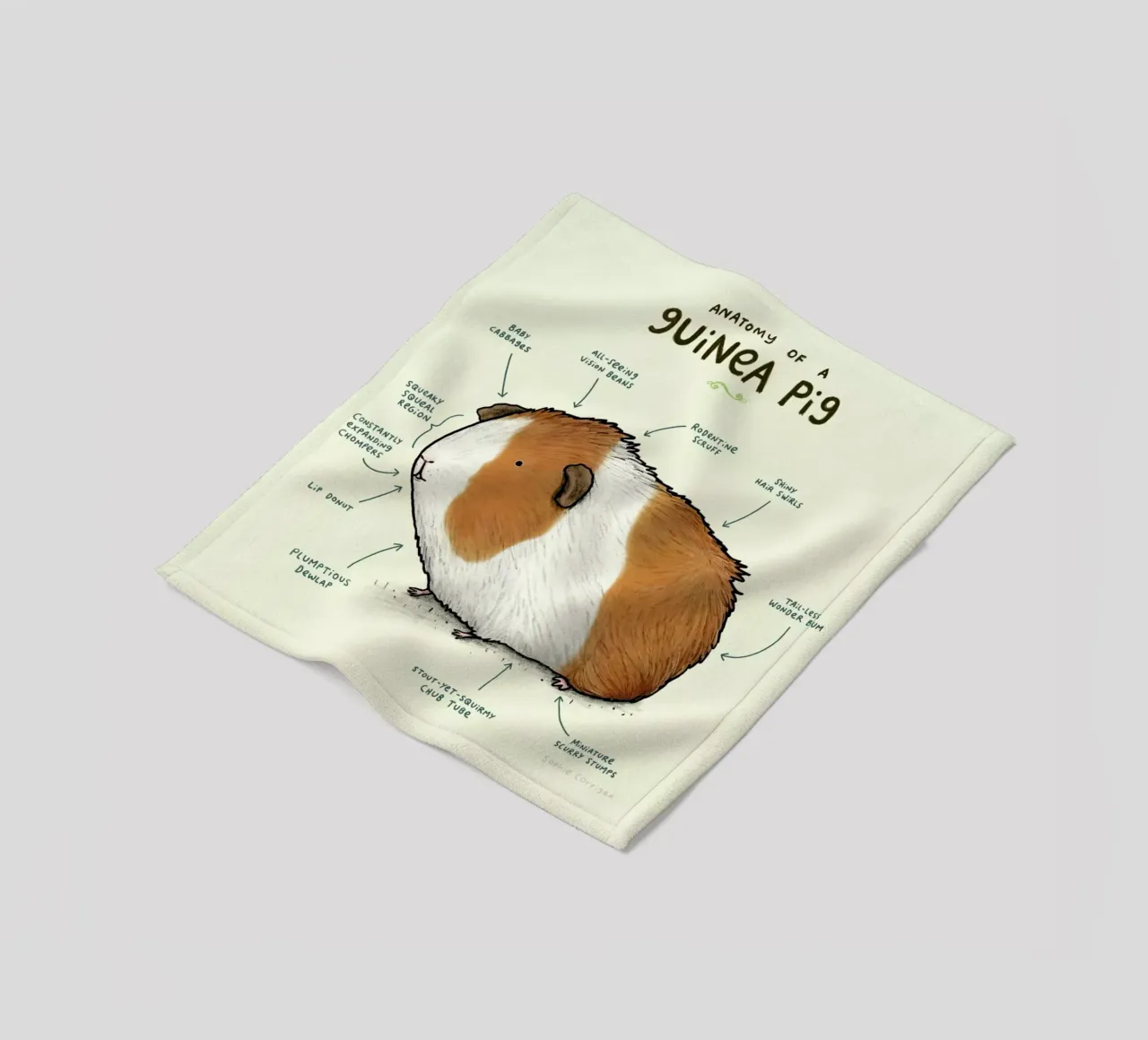 Anatomy Of A Guinea Pig coperta in pile da Sophie Corrigan