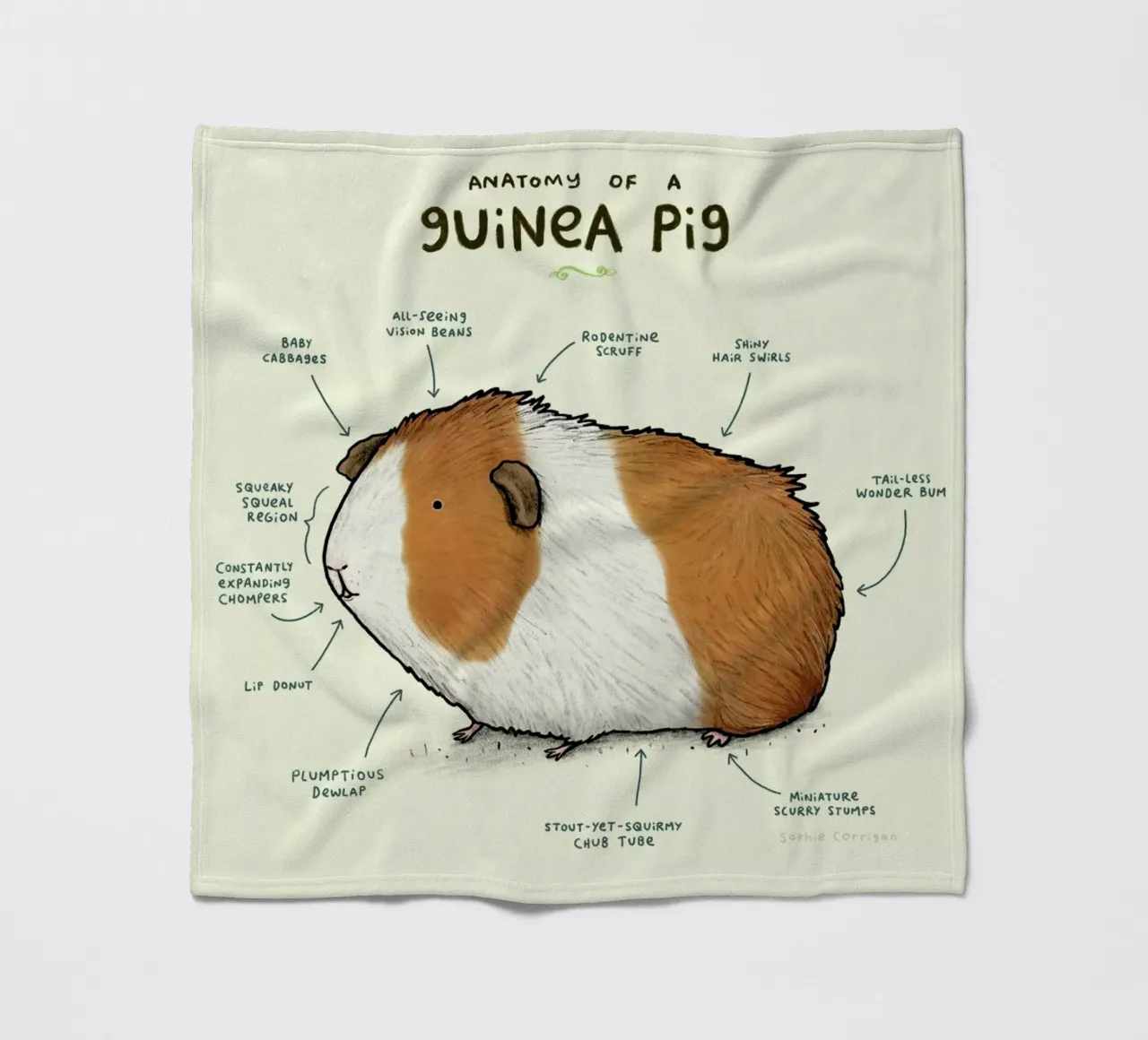 Anatomy Of A Guinea Pig coperta in pile da Sophie Corrigan