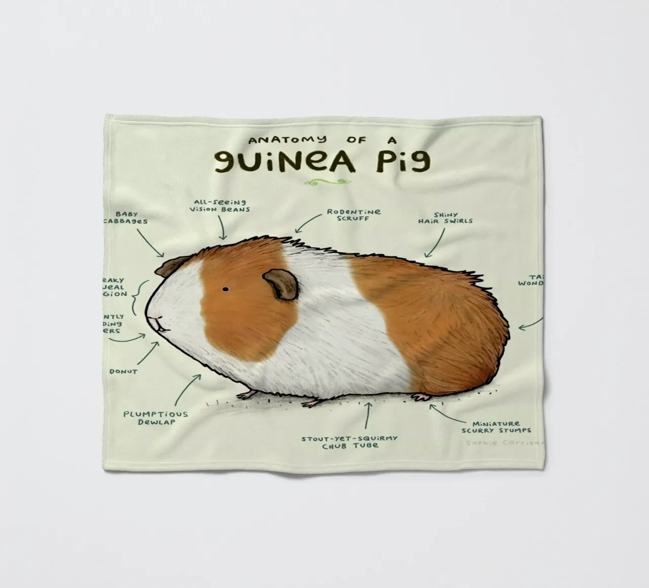 Anatomy Of A Guinea Pig coperta in pile da Sophie Corrigan