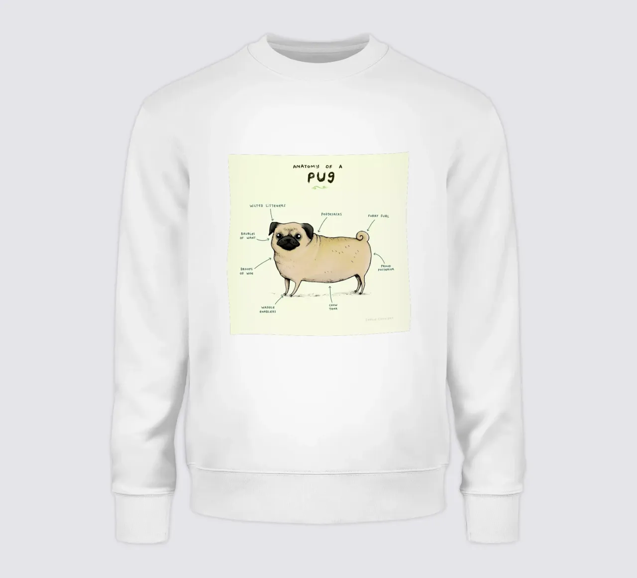Anatomy Of A Pug felpa da Sophie Corrigan