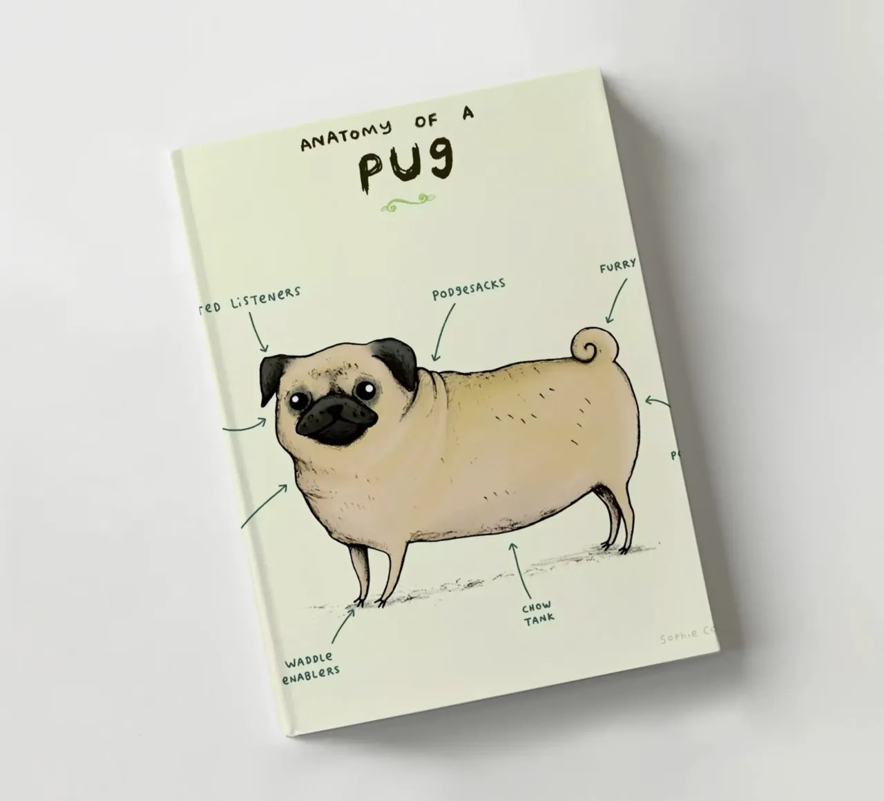 Anatomy Of A Pug notebook by Sophie Corrigan