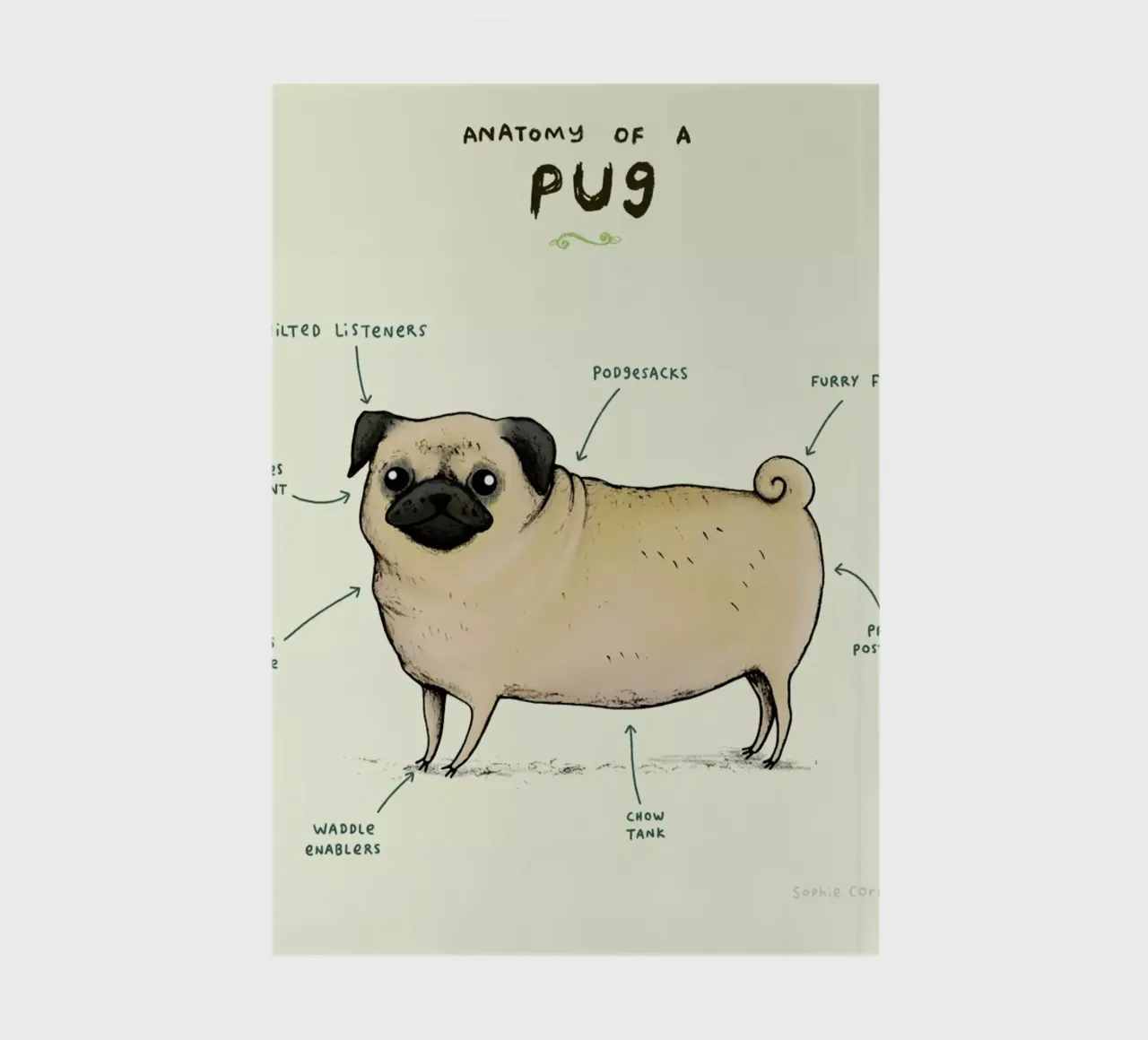 Anatomy Of A Pug notebook by Sophie Corrigan