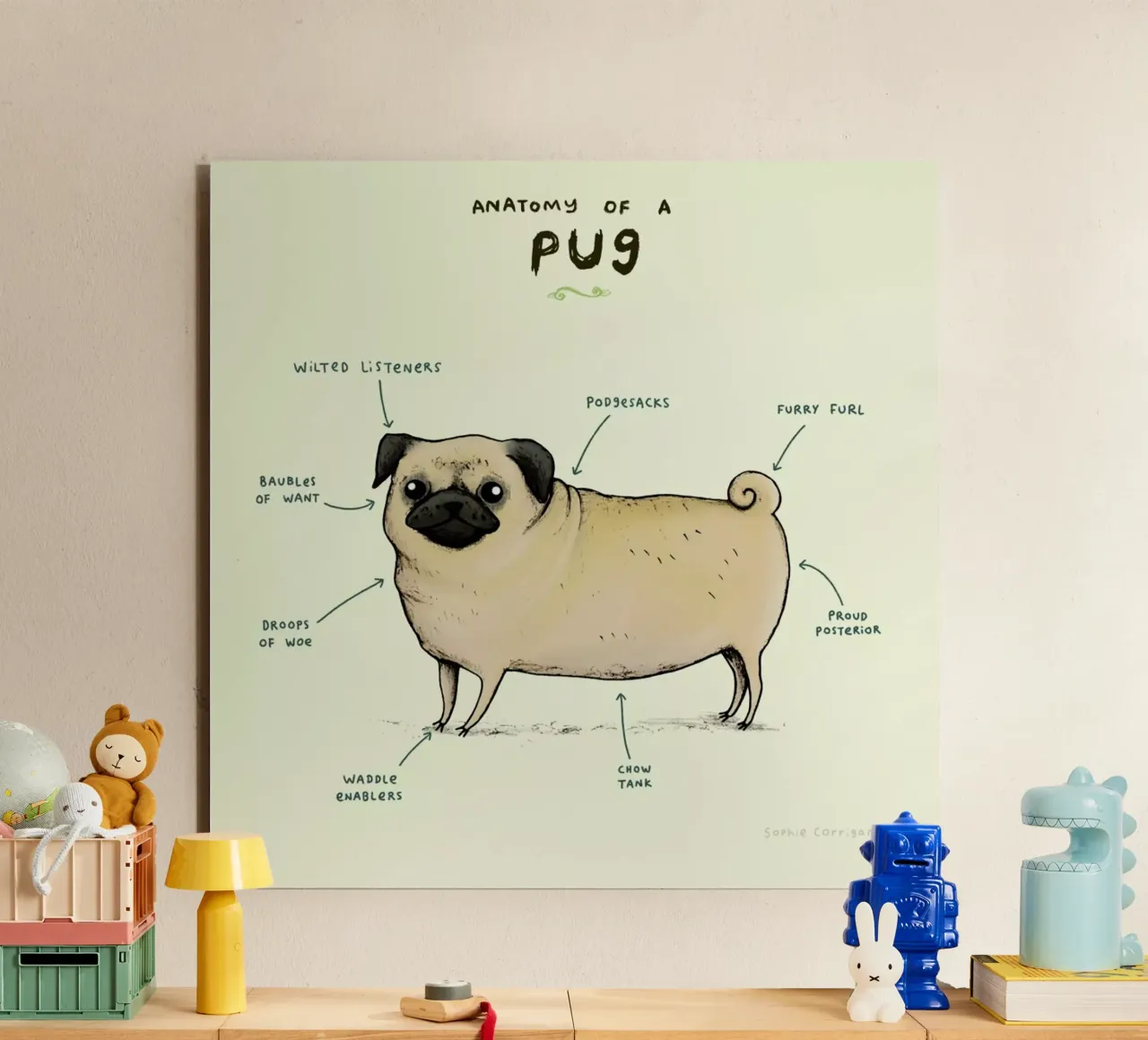 Anatomy Of A Pug alluminio dibond da Sophie Corrigan