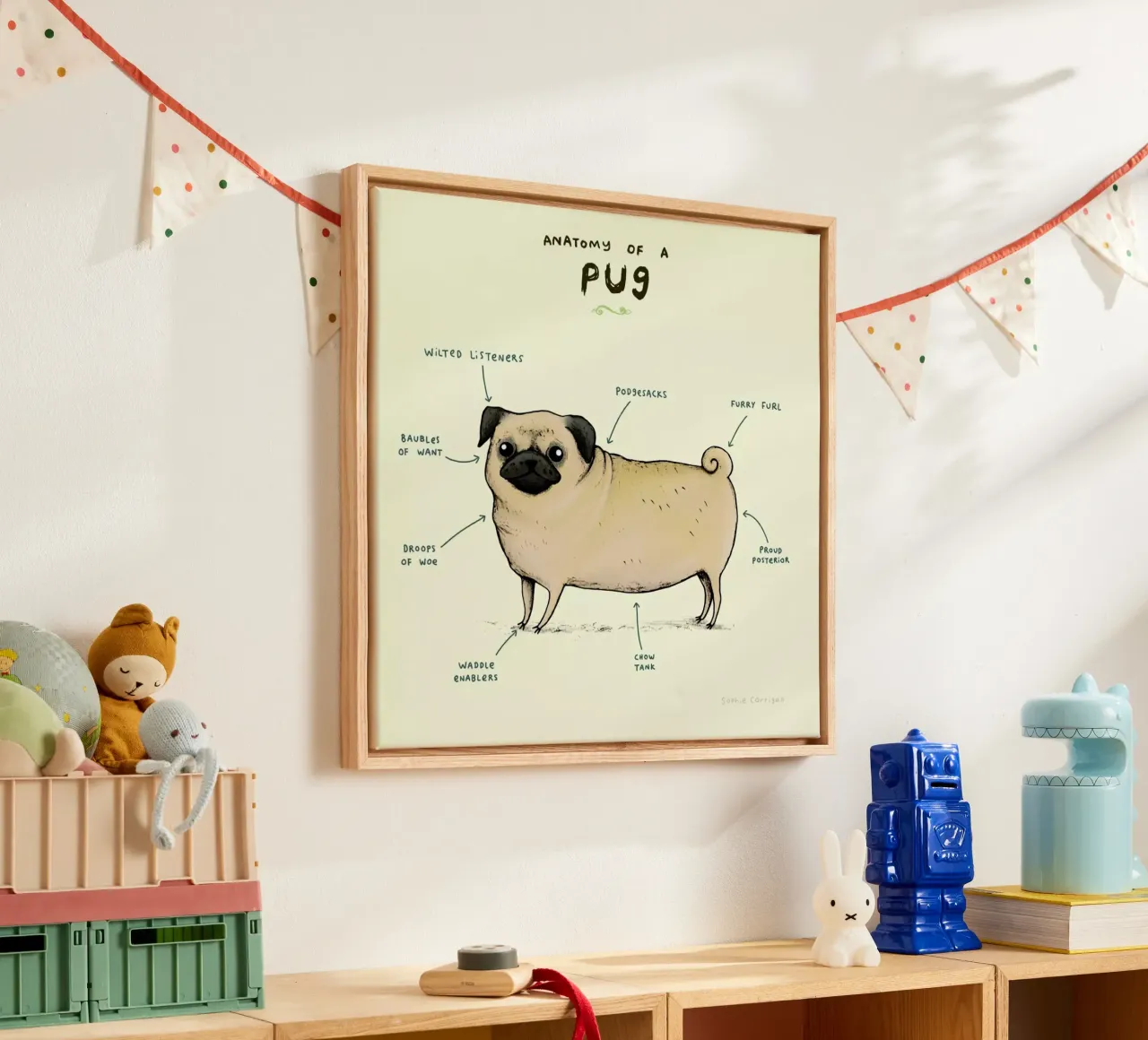 Anatomy Of A Pug tela con Cornice a cassetta da Sophie Corrigan