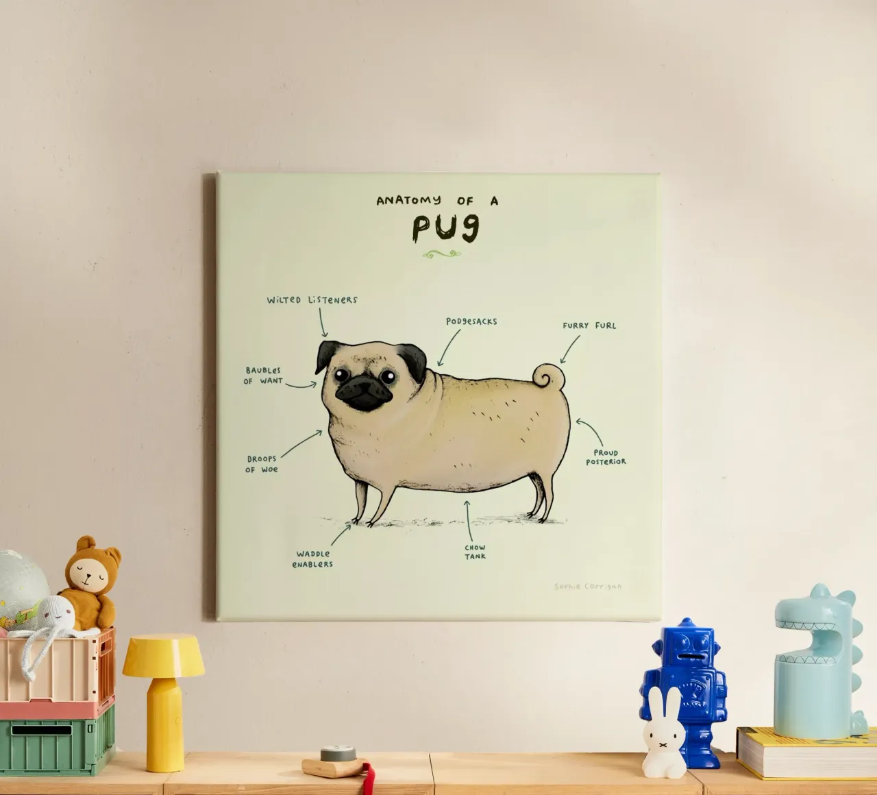 Anatomy Of A Pug tela con Cornice a cassetta da Sophie Corrigan