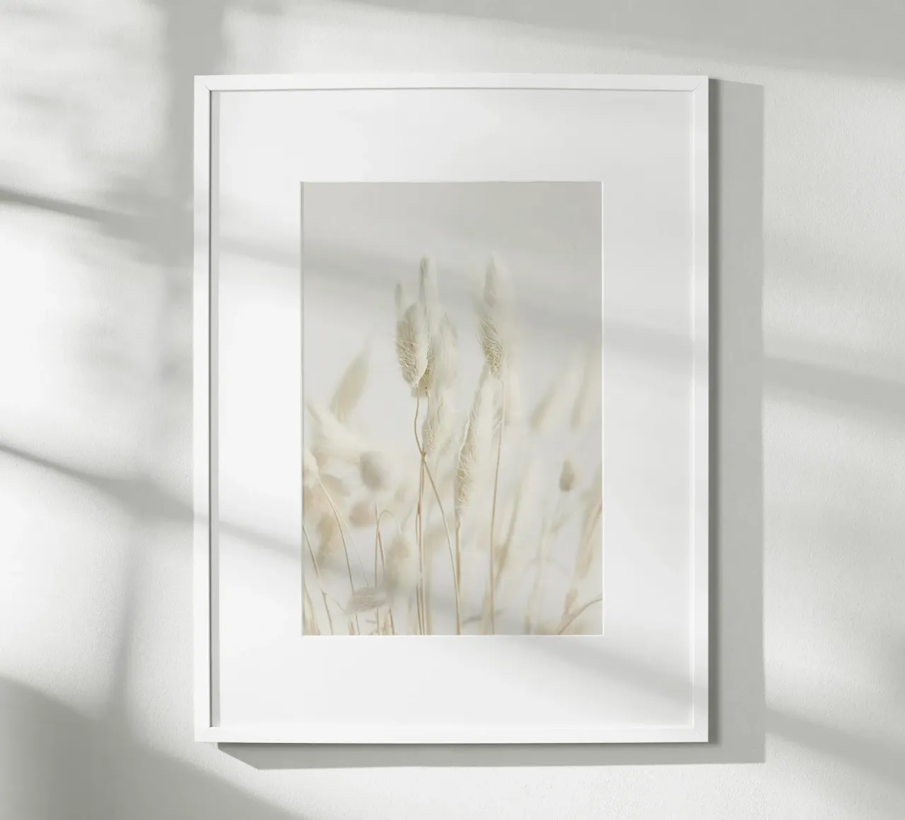 Dried Flowers Lagurus 2 poster con telaio in alluminio da Monika Strigel