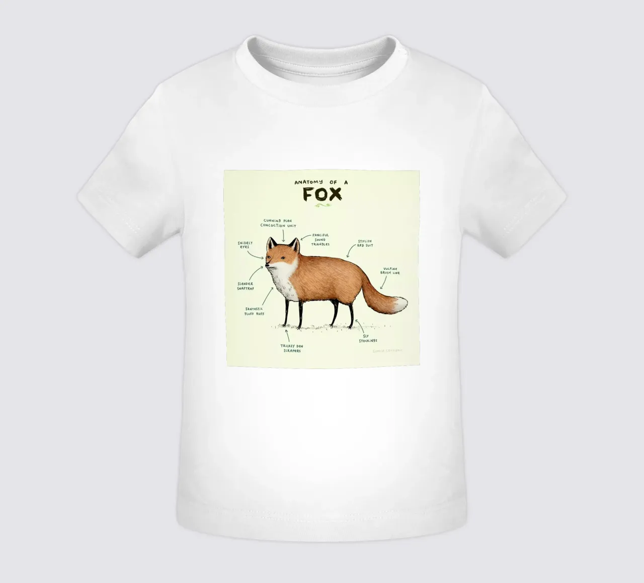Anatomy Of A Fox baby t-shirt by Sophie Corrigan