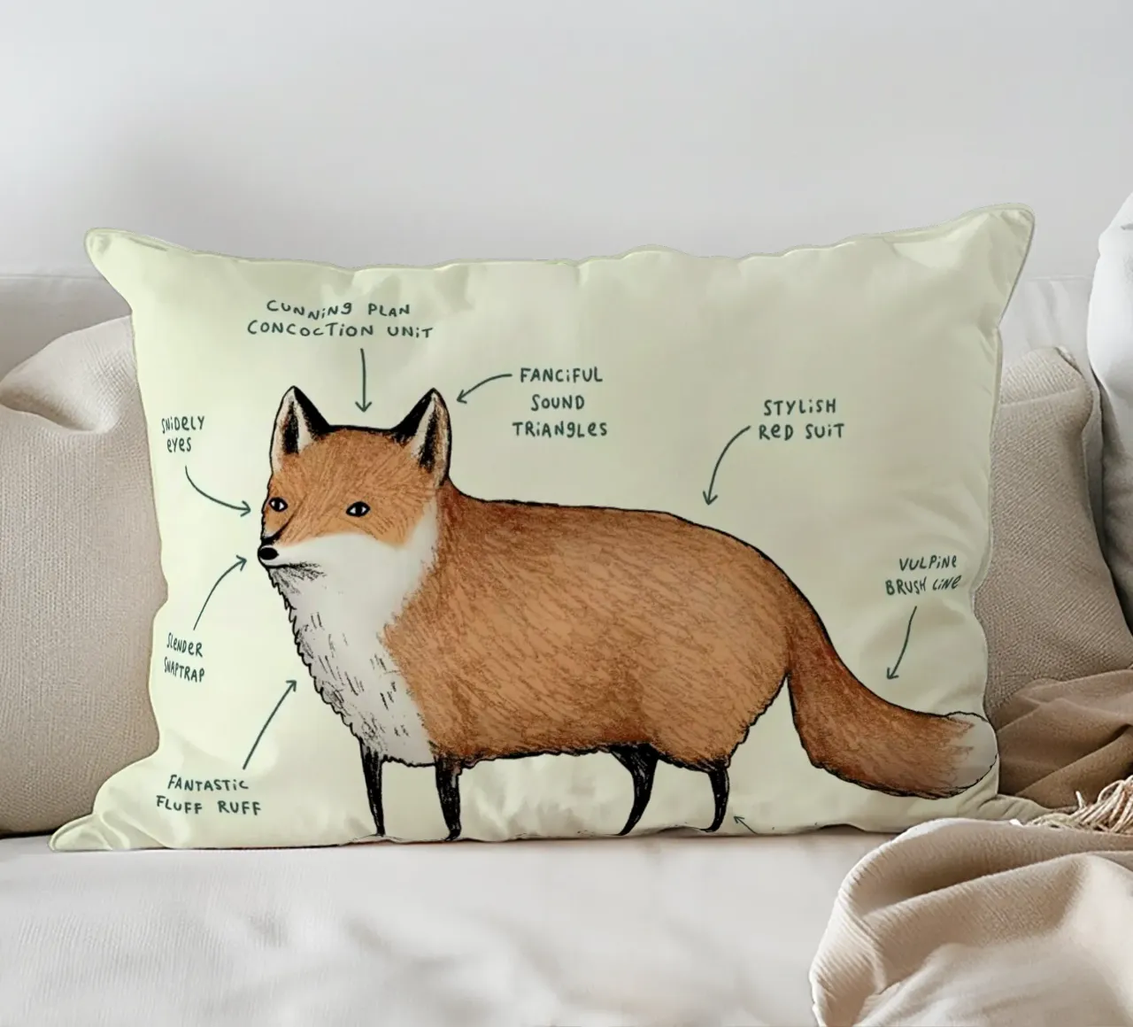 Anatomy Of A Fox decorative cushion by Sophie Corrigan