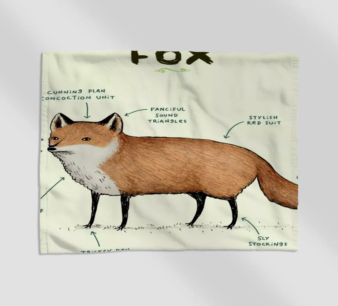 Anatomy Of A Fox telo mare da Sophie Corrigan