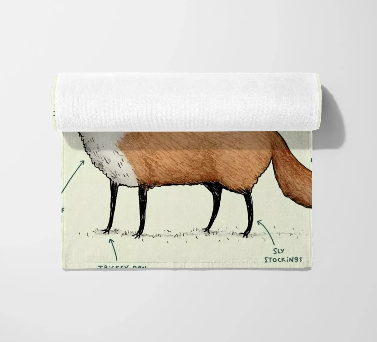 Anatomy Of A Fox telo mare da Sophie Corrigan