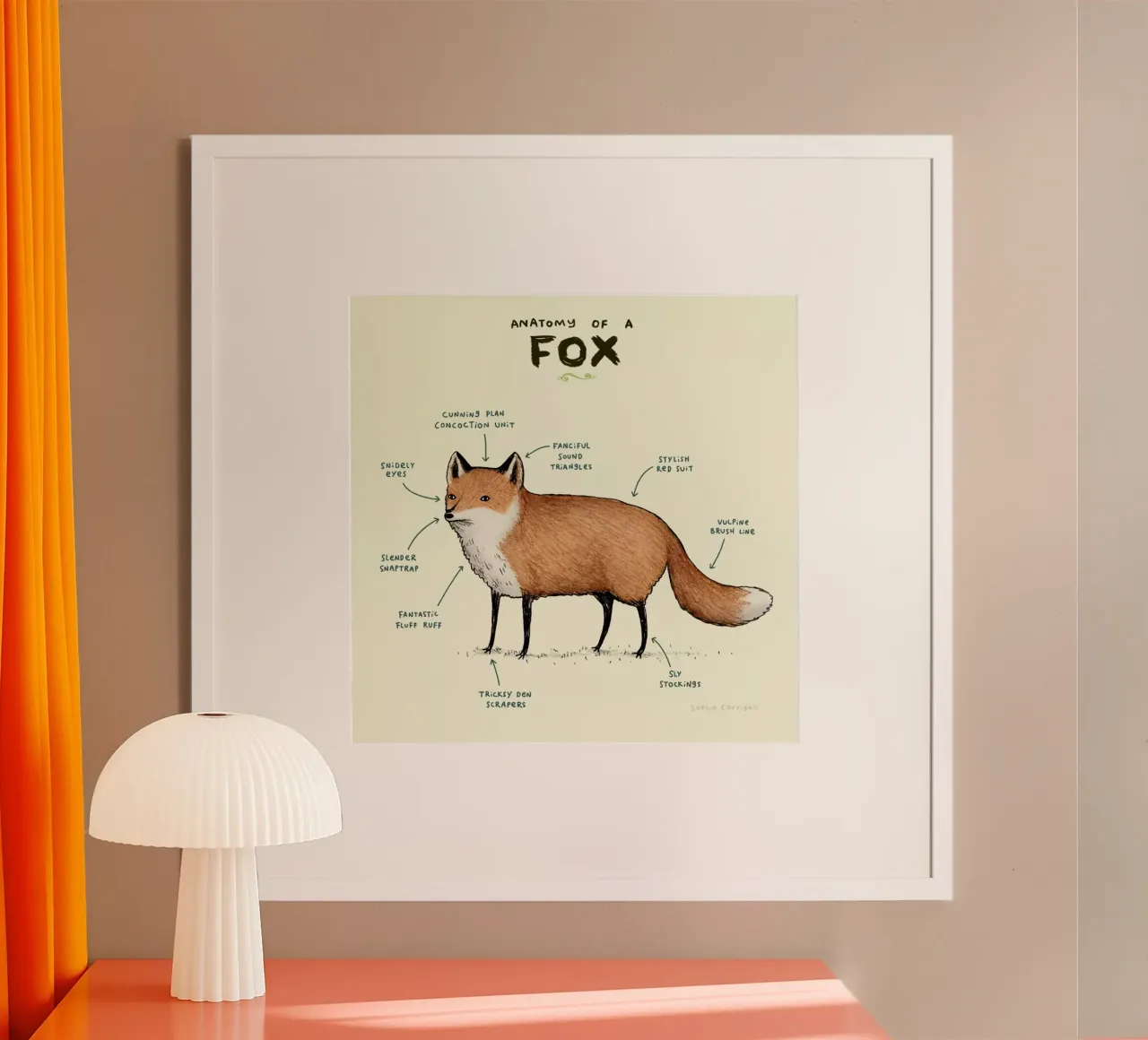Anatomy Of A Fox poster con telaio in legno da Sophie Corrigan