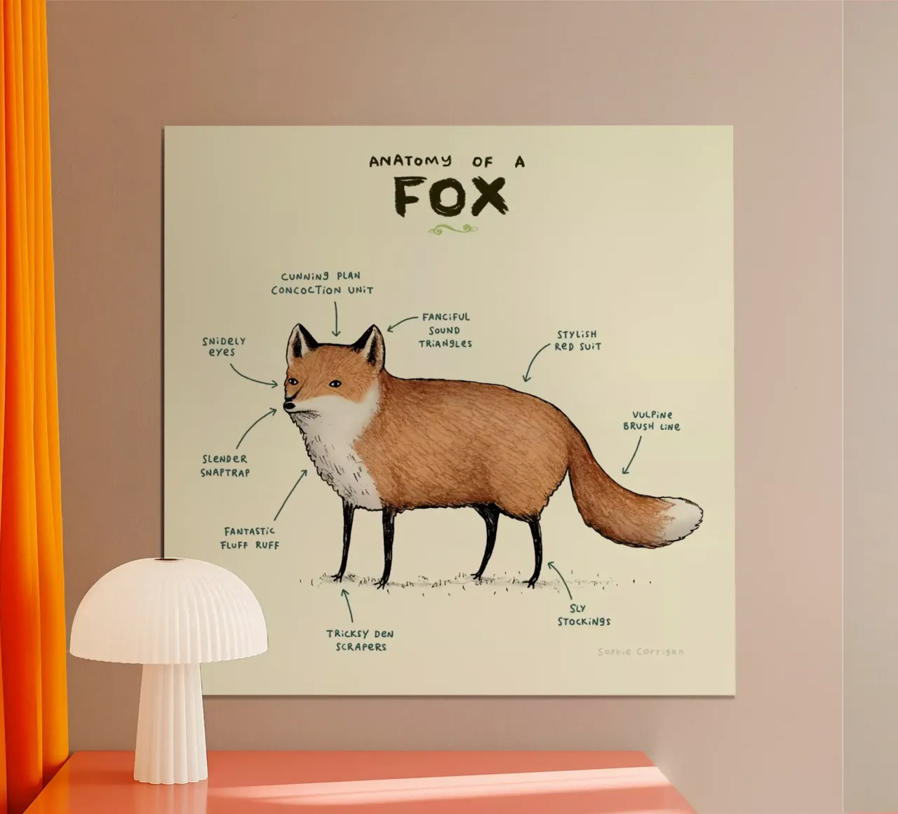 Anatomy Of A Fox poster con telaio in legno da Sophie Corrigan