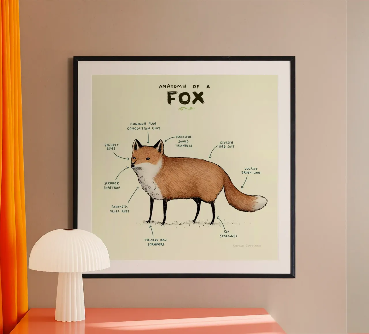 Anatomy Of A Fox poster con telaio in legno da Sophie Corrigan
