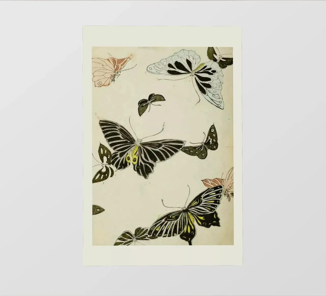 Shin-Bijutsukai - Butterflies telo in pvc da Vintage by JUNIQE