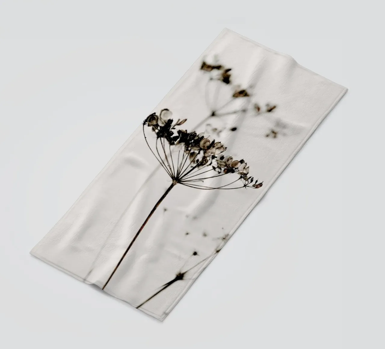 Dried Flowers Anetum 2A telo mare da Monika Strigel
