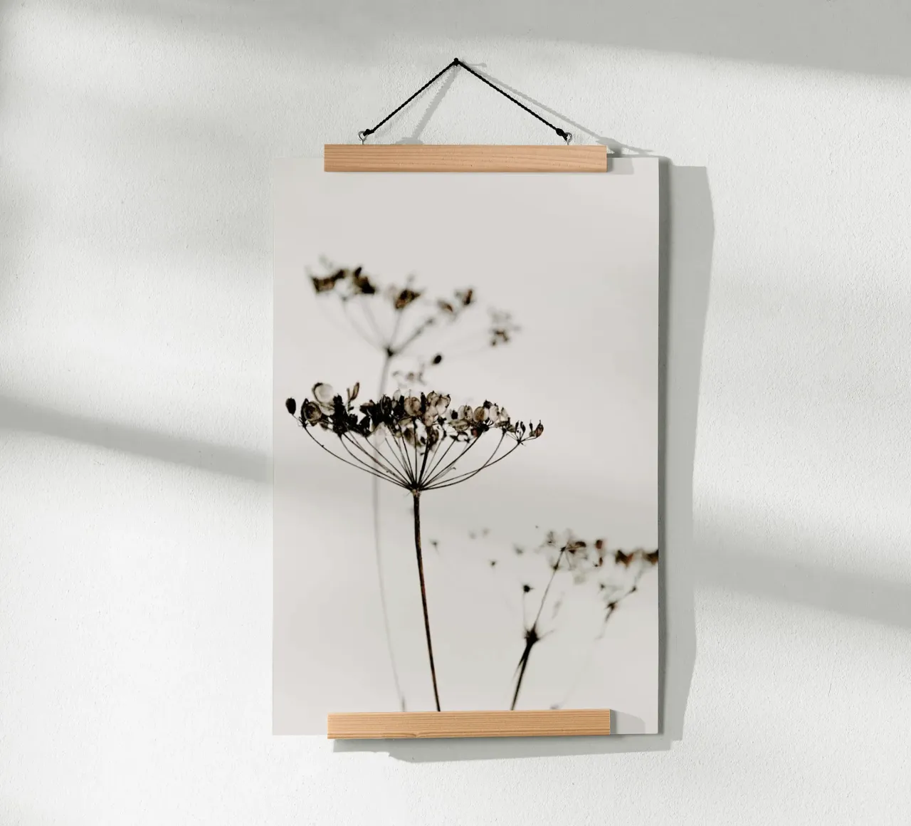 Dried Flowers Anetum 2A carta hahnemühle da Monika Strigel