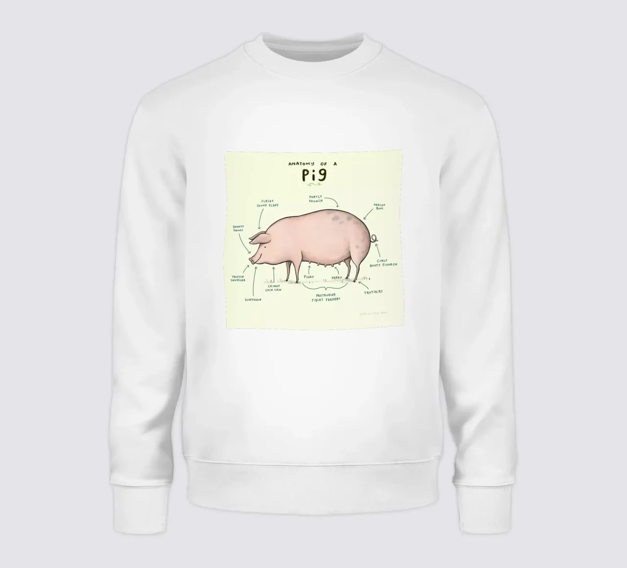 Anatomy Of A Pig felpa da Sophie Corrigan