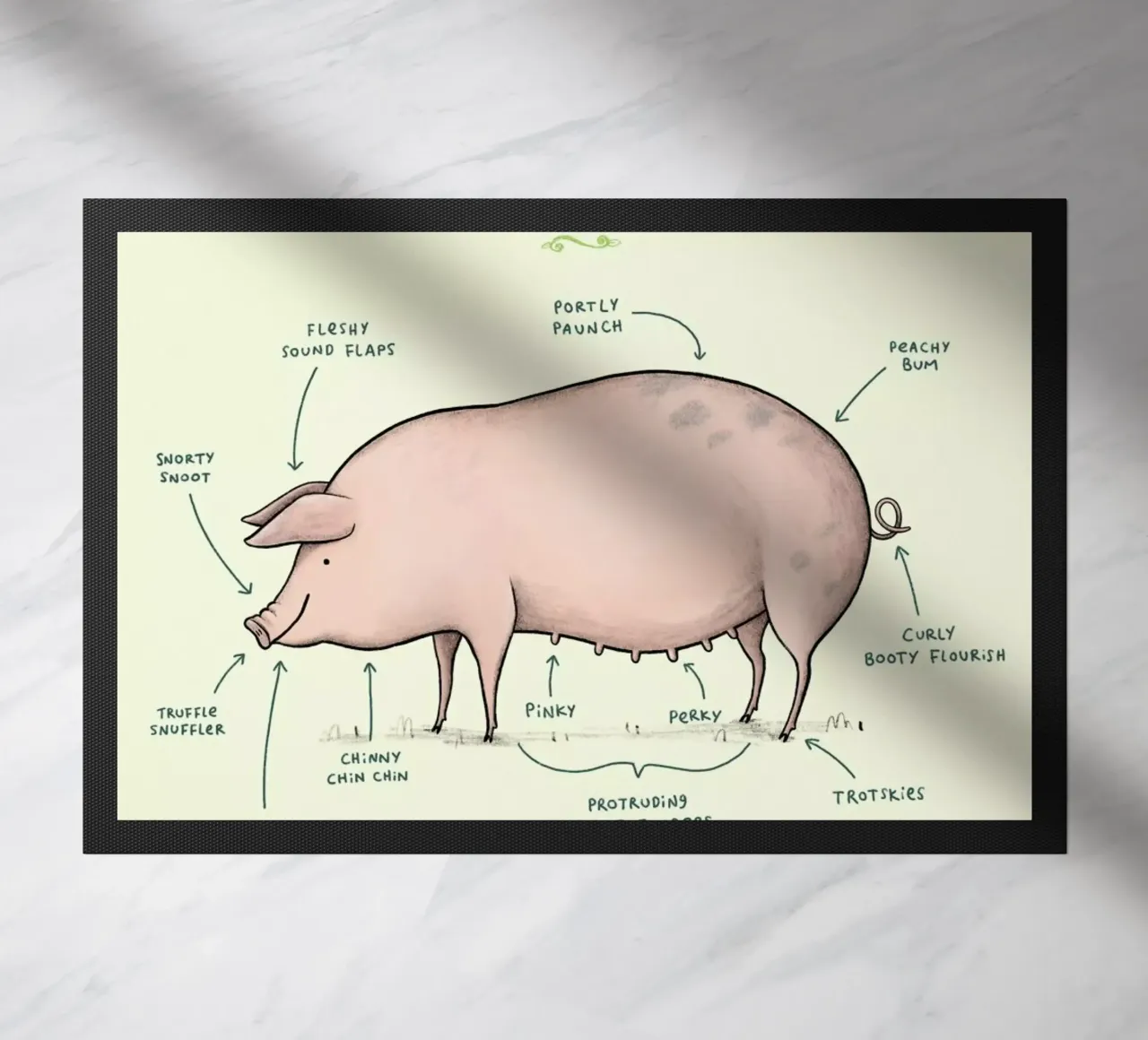 Anatomy Of A Pig zerbino da Sophie Corrigan