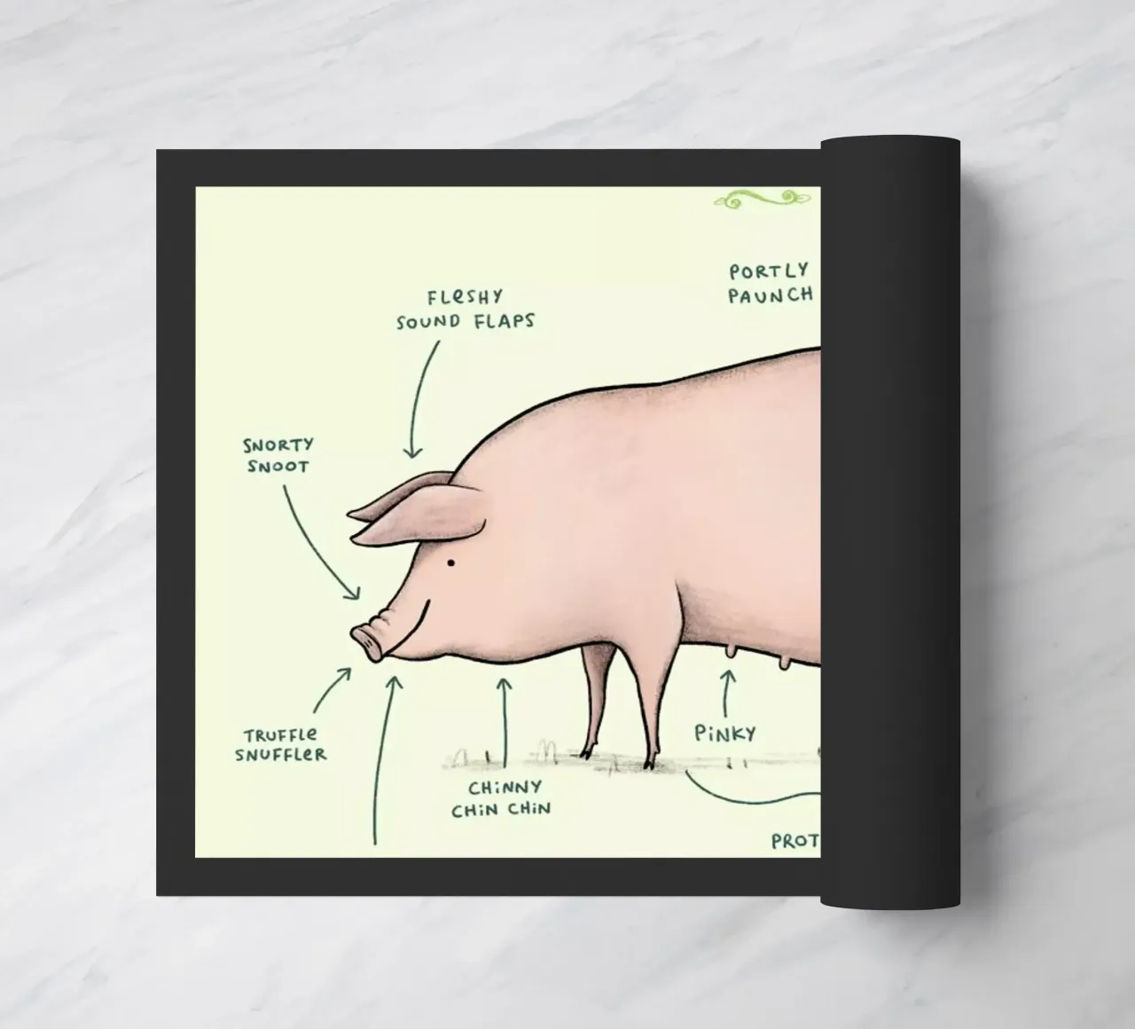 Anatomy Of A Pig zerbino da Sophie Corrigan