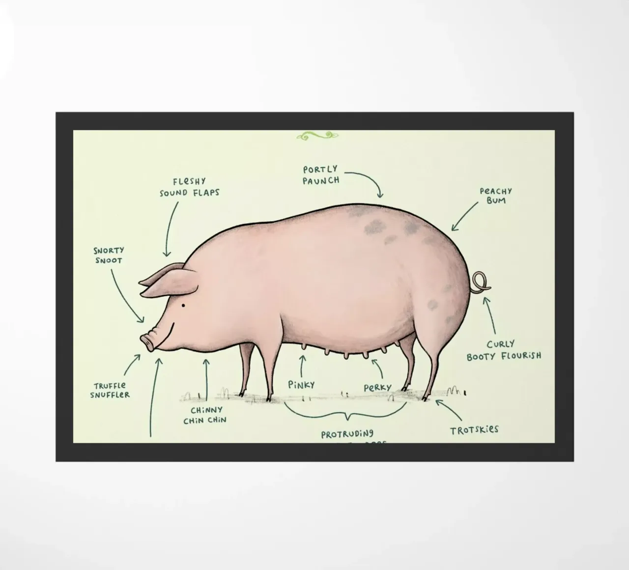 Anatomy Of A Pig zerbino da Sophie Corrigan