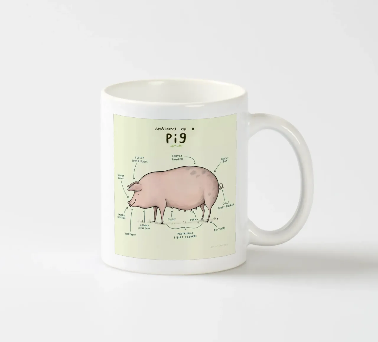 Anatomy Of A Pig tazza in ceramica da Sophie Corrigan